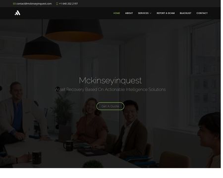 website thubmnail of Mckinseyinquest