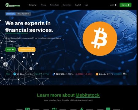 website thubmnail of Mebitstock