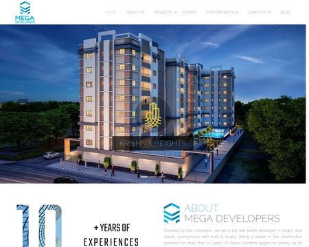 website thubmnail of Megadeveloper.in