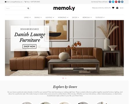 website thubmnail of Memoky