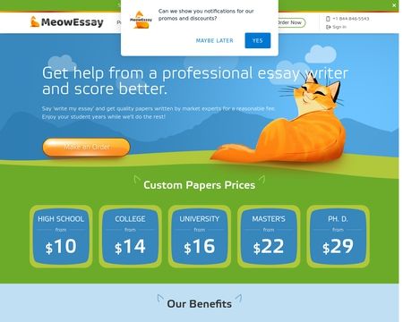 website thubmnail of MeowEssay.com