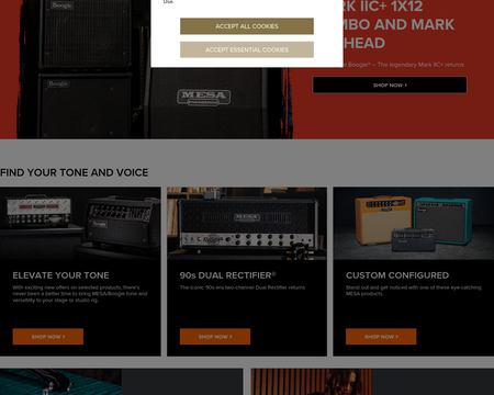 website thubmnail of Mesa Engineering