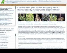 Thumbnail of Middlesexcannabis.ml