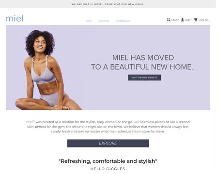 website thubmnail of Miel Sisters