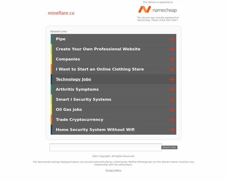 website thubmnail of Mineflare.co