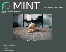 Thumbnail of Mintcleaning.org