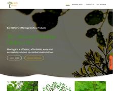 Thumbnail of Moringa Oleifera Tree