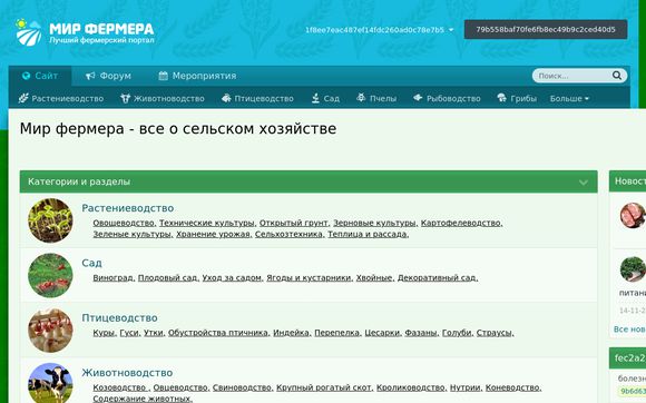 Thumbnail of Mirfermera.ru