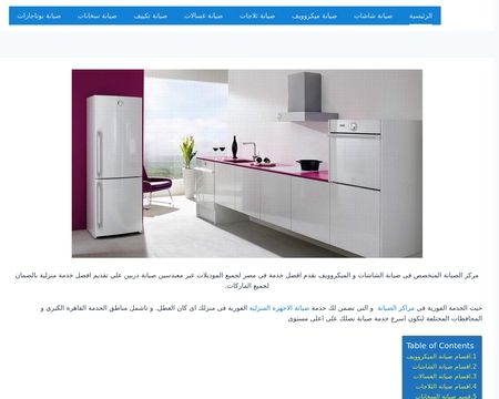 website thubmnail of Misrfix
