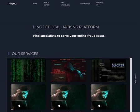 website thubmnail of Moduli