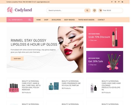 website thubmnail of Moliesa