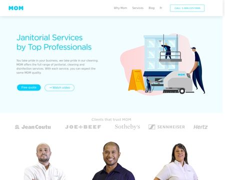 website thubmnail of Momcleaning