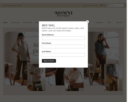 website thubmnail of MOMNI
