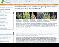 Thumbnail of Monroecannabis.cf