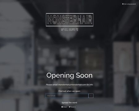 website thubmnail of Monsterhair