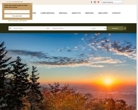 website thubmnail of Mountain Country Cabin Rentals