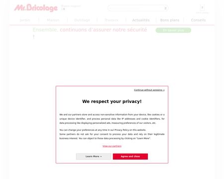 website thubmnail of Mr Bricolage