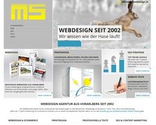 Thumbnail of MS Web Design