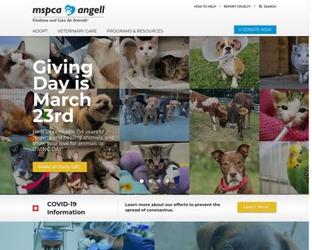 website thubmnail of MSPCA Angell