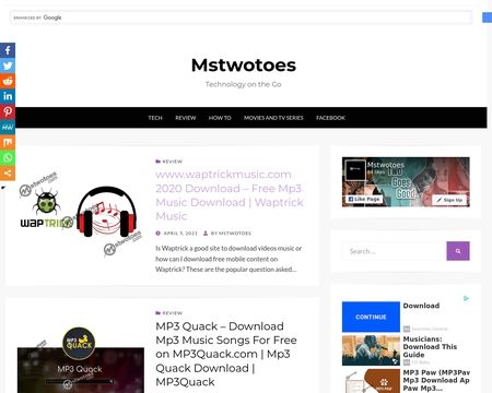 website thubmnail of Mstwotoes