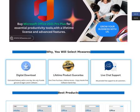website thubmnail of Mswares