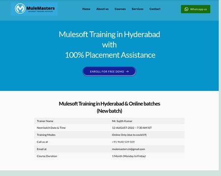 website thubmnail of Mulemasters.in