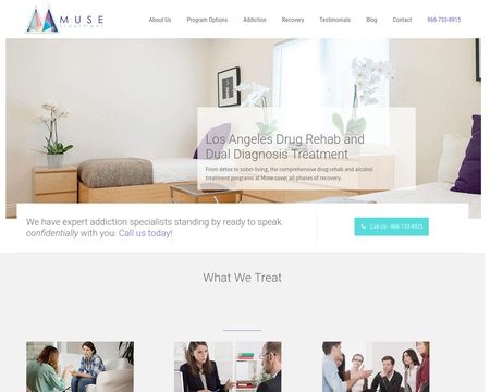 website thubmnail of Musetreatment