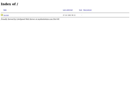 website thubmnail of Mydentistisin