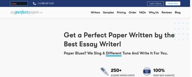 essay writer: This Is What Professionals Do