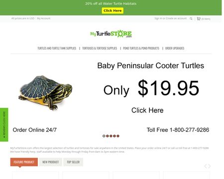 website thubmnail of My Turtle Store