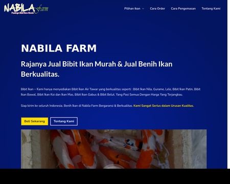 website thubmnail of Nabilafarm