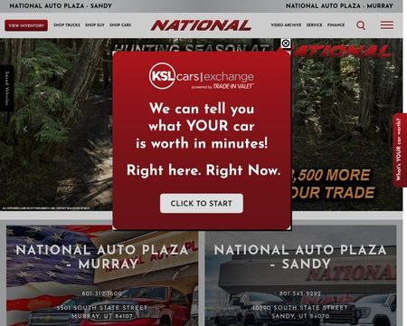 website thubmnail of NAP Sales