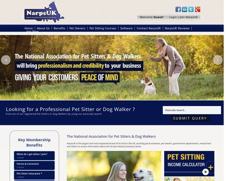 website thubmnail of Narps UK