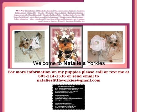 Natalies Yorkies