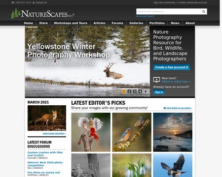 website thubmnail of NatureScapes