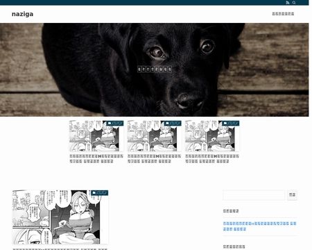 website thubmnail of Nazigassings
