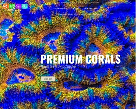 website thubmnail of Nemo's Reef