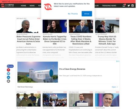 website thubmnail of Neon Nettle
