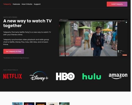 website thubmnail of NetflixParty