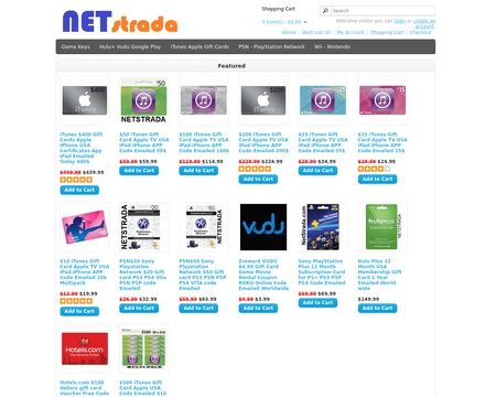 website thubmnail of netstrada