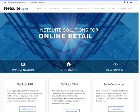 website thubmnail of NetSuite Expert
