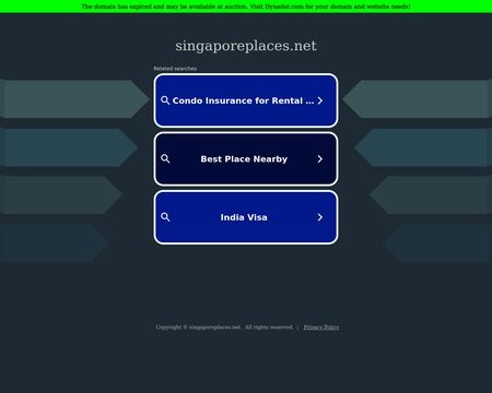 Newarrivals.singaporeplaces.net