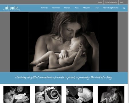 website thubmnail of Nilmdts