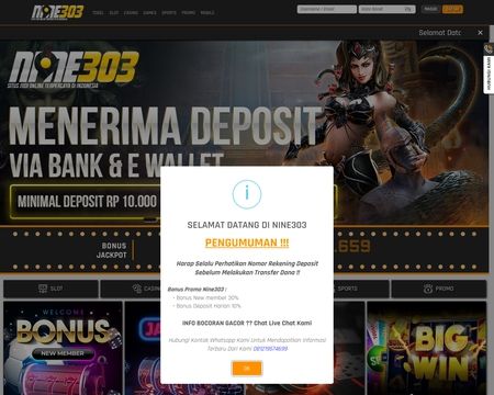 website thubmnail of Nine303.org