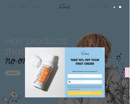 website thubmnail of Nonothing.us