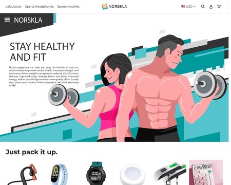 website thubmnail of Norskla