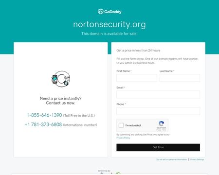 website thubmnail of Nortonsecurity.org