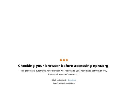 website thubmnail of NPNR