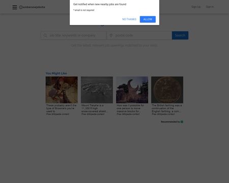 website thubmnail of NumberoneJobsite