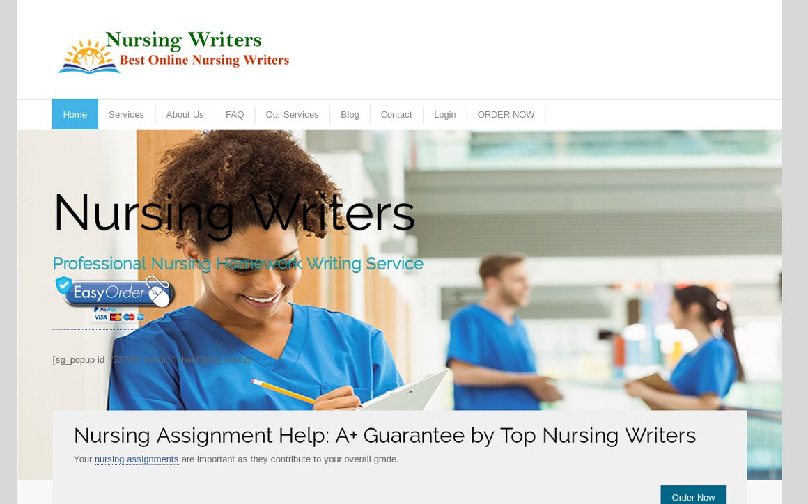 website thubmnail of Nursingwriters.org